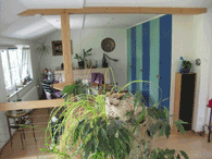 Innenausbau Elgg
